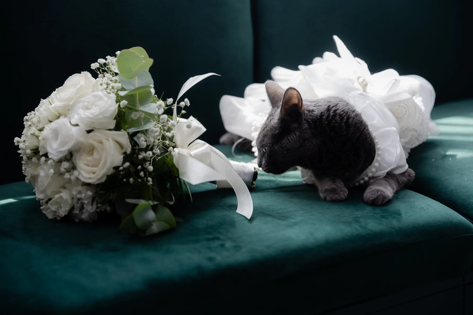 Kristiyana & Miroslav — a wedding story — photograph 6